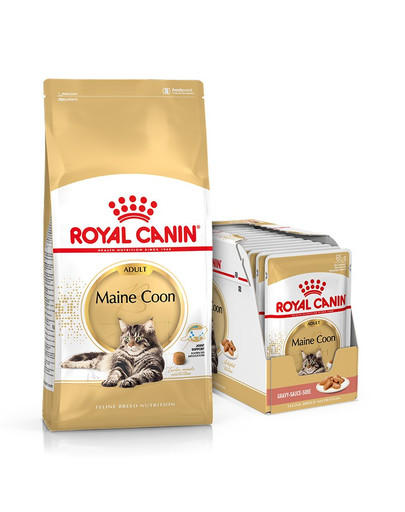 ROYAL CANIN Maine Coon Adult 10 kg + kapsičky Mainecoon 12x85 g