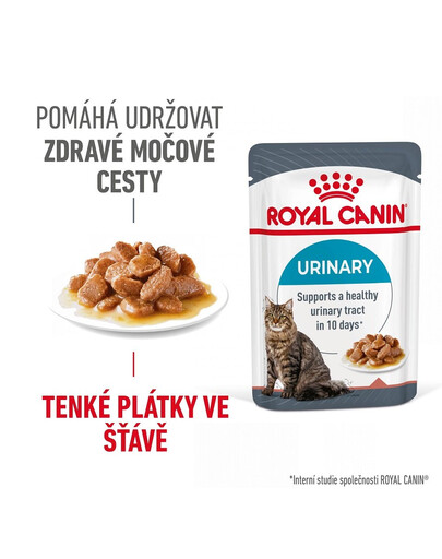 ROYAL CANIN Urinary Care 12 x 85g