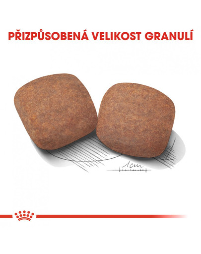 ROYAL CANIN Giant adult 4 kg granule pro dospělé obří psy