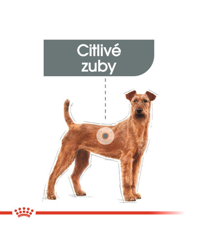 ROYAL CANIN Medium dental care 1 kg Omezení tvorby zubního kamene