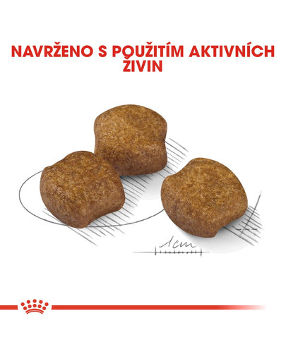 ROYAL CANIN Medium dental care 1 kg Omezení tvorby zubního kamene