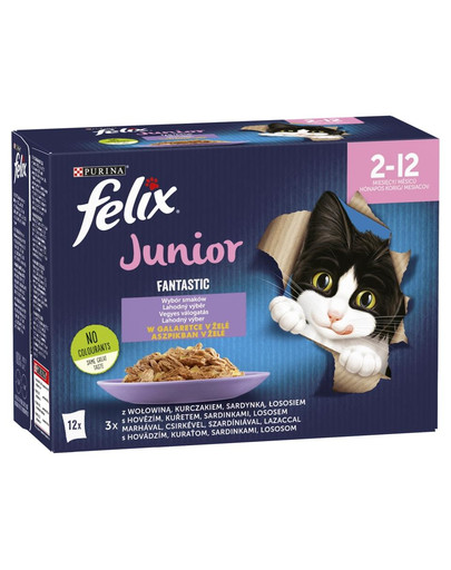 FELIX FANTASTIC Junior s kuřetem v želé Mix příchutí 12x85g kapsičky pro koťata