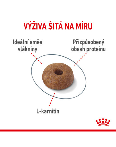 ROYAL CANIN Light Weight Care 2 x 10 kg dietní granule pro kočky