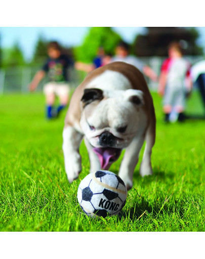 KONG Sport Balls M 3 ks Míčky pro psy gumové