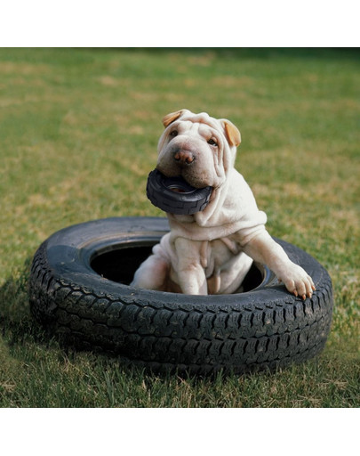 KONG Extreme Tyres S Odolné kousátko pro psy