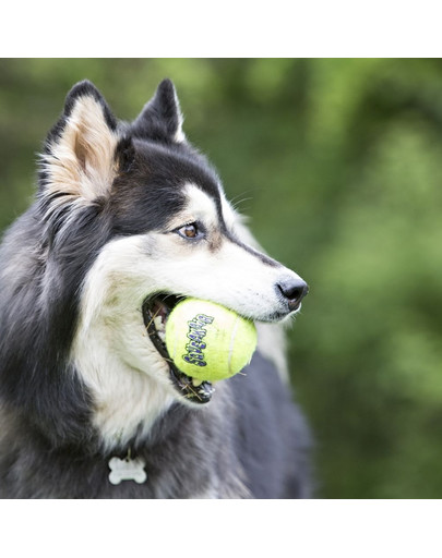 KONG SqueakAir Balls M 6 ks Míč tenisový pro psy