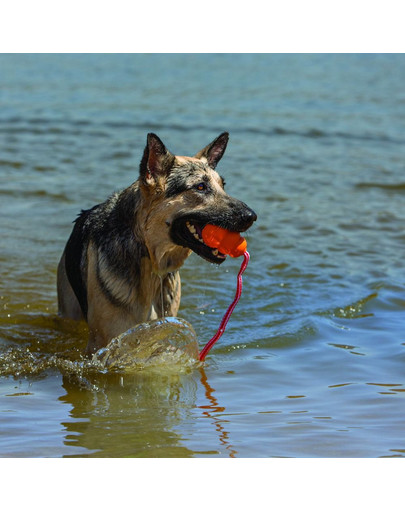 KONG Aqua L plovoucí hračka pro psy