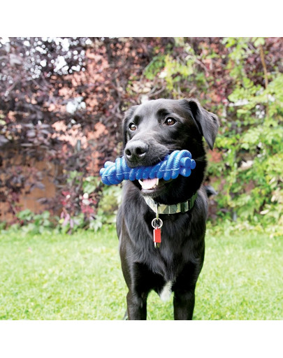 KONG Kazoo L hračka pro psy