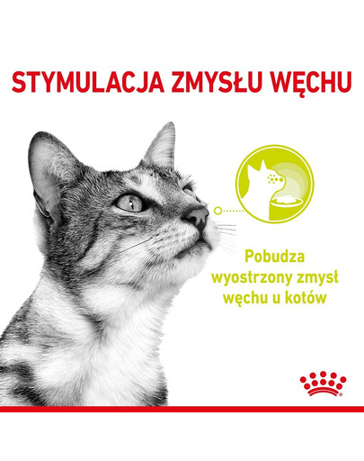 ROYAL CANIN Sensory Smell gravy 12x85 g kousky ve šťávě pro dospělé kočky
