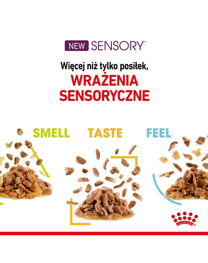 ROYAL CANIN Sensory Multipack – Smell/Feel/Taste 12x85 g kousky ve šťávě pro dospělé kočky