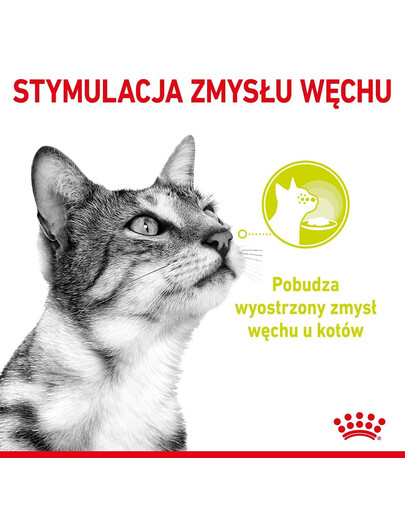 ROYAL CANIN Sensory Multipack – Smell/Feel/Taste 12x85 g kousky ve šťávě pro dospělé kočky