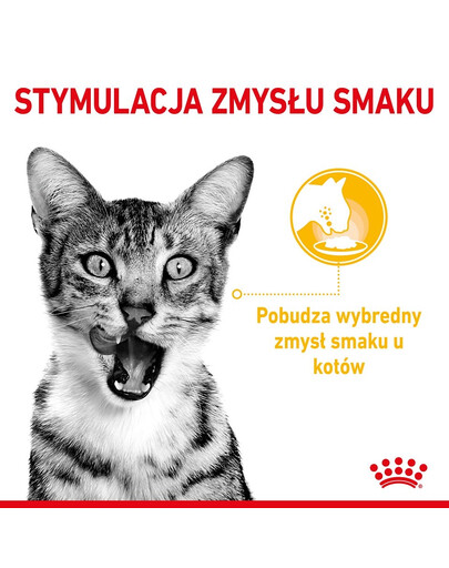 ROYAL CANIN Sensory Multipack – Smell/Feel/Taste 12x85 g kousky ve šťávě pro dospělé kočky