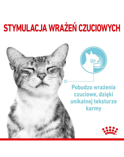 ROYAL CANIN Sensory Multipack – Smell/Feel/Taste 12x85 g kousky ve šťávě pro dospělé kočky