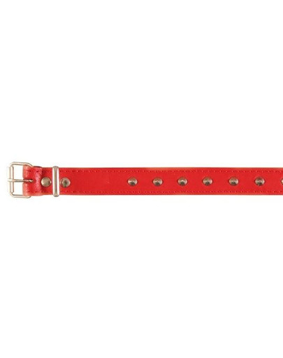 TRIXIE Basic Obojek nýtovaný ( L )  46 - 55 cm / 22 mm