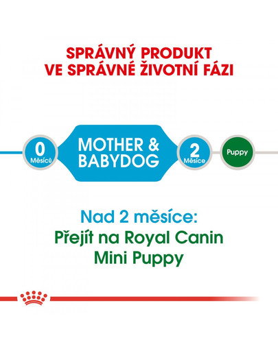 ROYAL CANIN Mini Starter Mother&Babydog 8 kg granule pro březí nebo kojící feny a štěňata