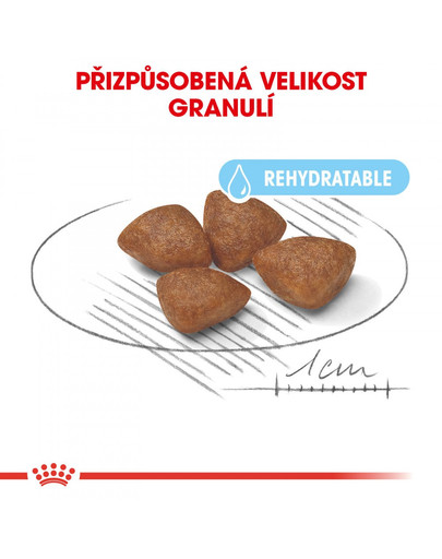 ROYAL CANIN Mini Starter Mother&Babydog 8 kg granule pro březí nebo kojící feny a štěňata