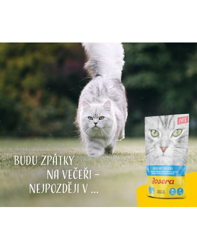 JOSERA Pate Losos s mořskými řasami 16 x 80 g