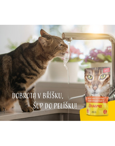 JOSERA Soup Kuře s mrkví a špenátem 16 x 70 g