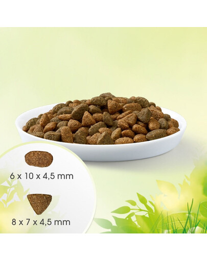 PERFECT FIT Cat Adult Natural Vitality Chicken & Turkey 2,4 kg