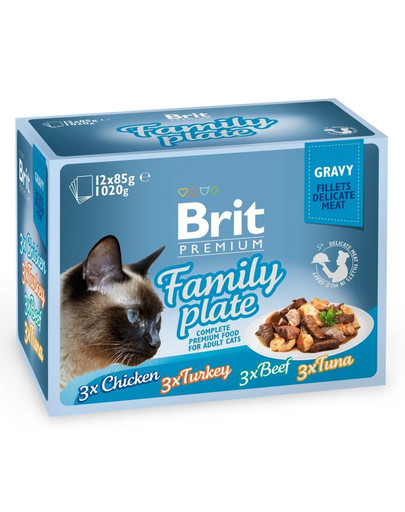 BRIT Premium Gravy fillet Family talíř Sáčky v omáčce pro kočky, směs příchutí 48 x 85 g