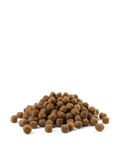 VERSELE-LAGA Puppy Medium - Krmivo pro štěňata středních plemen, drůbež 12,5 kg
