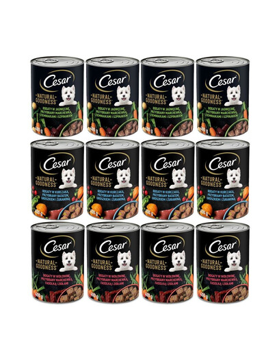 CESAR Smíšené příchutě 400 g