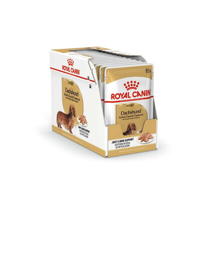 ROYAL CANIN Jezevčík mokrá paštika, pro dospělé psy jezevčíků