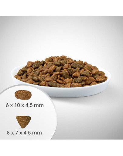 PERFECT FIT Active 1+ Krmivo bohaté na hovězí maso pro dospělé kočky 7 kg