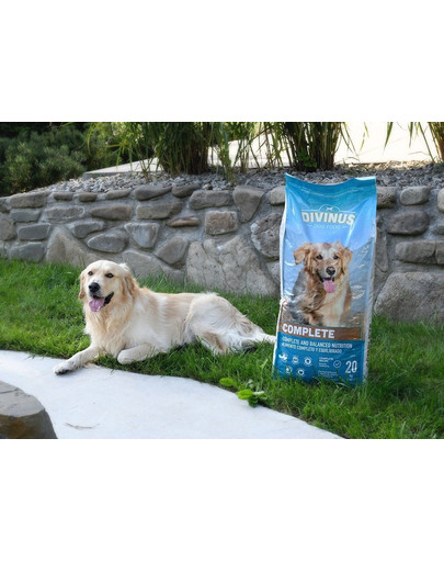 DIVINUS Dog Complete 20 kg s vitamíny a minerály pro vybíravé psy