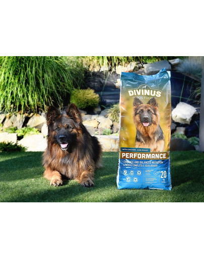 DIVINUS Dog Performance 20 kg granule pro německého ovčáka a aktivní psy