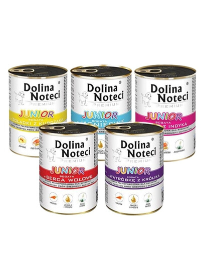 DOLINA NOTECI Junior Premium Mix příchutí 18x400g
