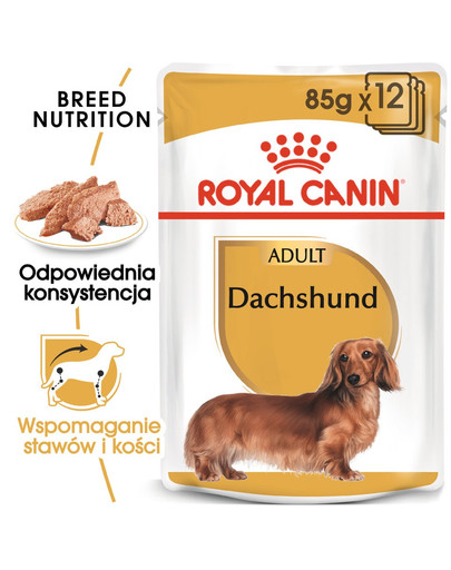 ROYAL CANIN Dachshund Loaf 85g x48