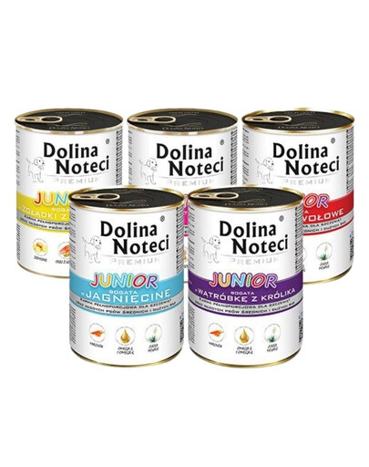 DOLINA NOTECI Premium Junior Mix příchutí 48x400g