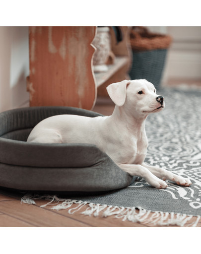 INTERZOO Pelech pro psy s polštářem oválný 53x44x16 cm šedý