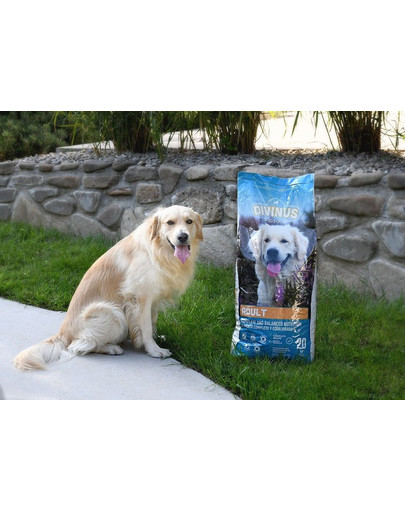 DIVINUS Dog Adult 20 kg granule pro dospělé psy