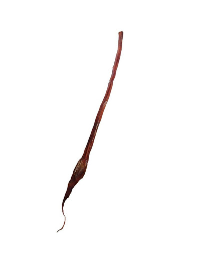 MACED Sušený hovězí úd celý 70 cm