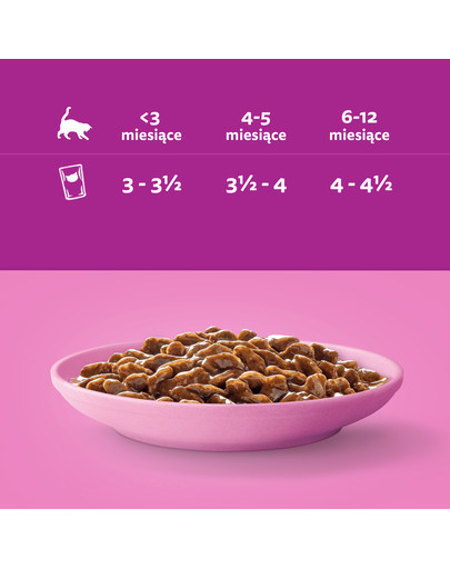 WHISKAS Junior Classic Meals Kuřecí a hovězí maso v omáčce 4x85g