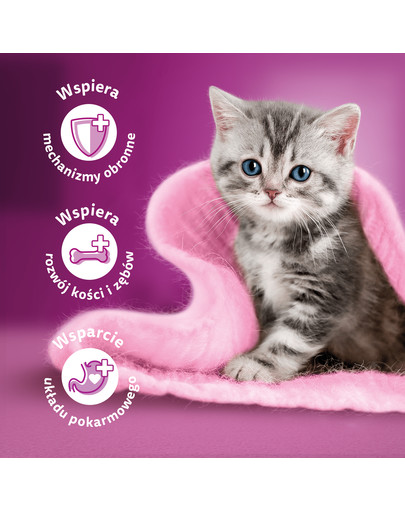 WHISKAS Junior Classic Meals Kuřecí a hovězí maso v omáčce 4x85g