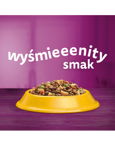 WHISKAS Adult 6x1,9 kg suché krmivo pro dospělé kočky s lahodným tuňákem