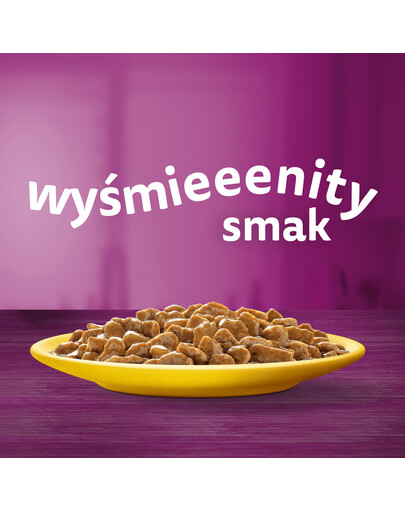 WHISKAS Adult sáček 85 g Poultry Feast mokré krmivo pro dospělé kočky v omáčce s: kuřecím masem, krůtím masem