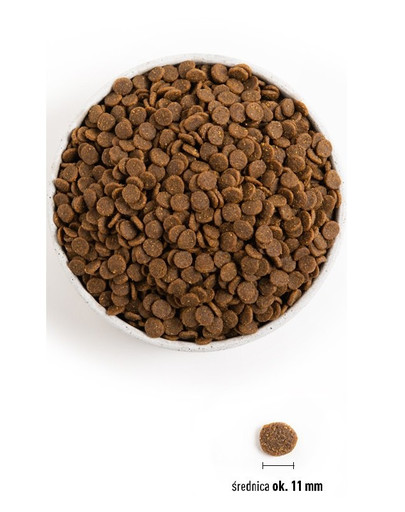 ACANA Dog Puppy Junior Heritage 17 kg