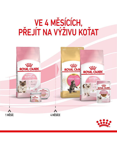ROYAL CANIN Mother&Babycat granule pro březí nebo kojící kočky a koťata  od 1 do 4 měsíců 4 kg