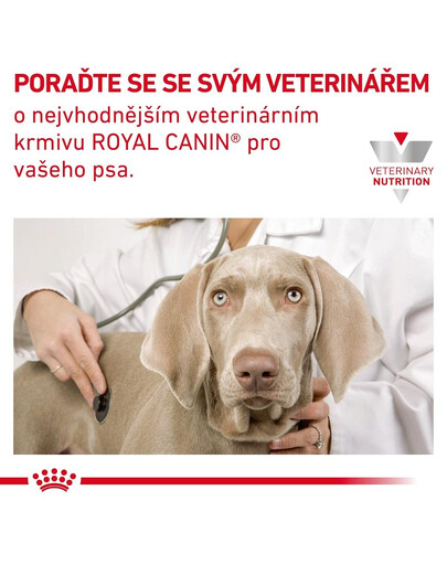 ROYAL CANIN Veterinary Diet Dog Gastrointestinal Low Fat 6 kg granule se sníženým obsahem tuku pro dospělé psy s onemocněním trávicího traktu