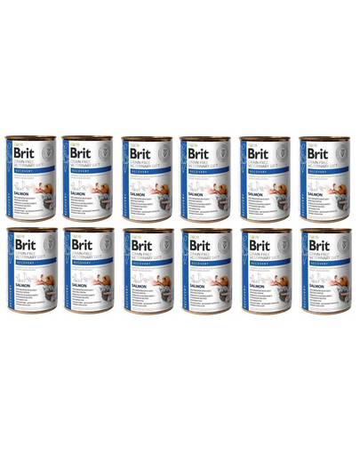 BRIT Veterinary Diet Recovery Salmon 12x400 g