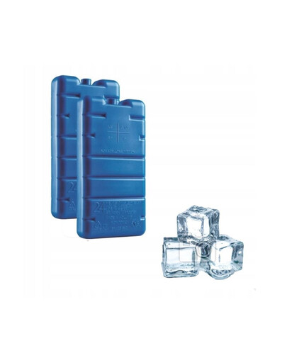 CURVER Ice Pack Chladicí vložka do cestovní chladničky 2ks