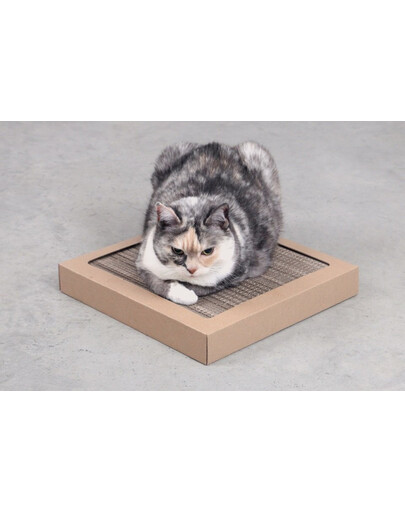 CARTON+ PETS Oboustranné kartonové škrabadlo pro kočky Tom