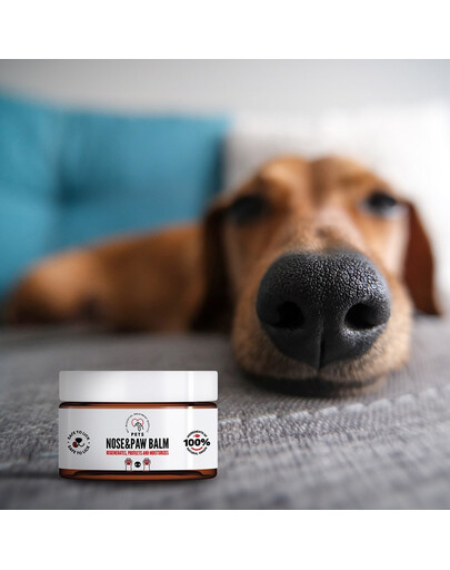 PETS Nose & Paw Balm balzám pro péči o nos a tlapky 75 ml