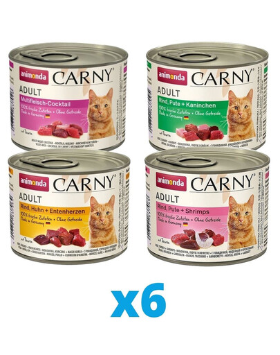 ANIMONDA Carny mix příchutí 24 x 200 g