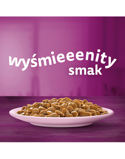 WHISKAS Adult 28x85g vlhké krmivo pro dospělé kočky v omáčce s lososem