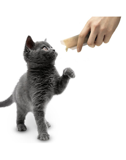 APPLAWS Cat Treat Chicken Puree 10 x ( 8 x 7g ) Kuřecí pyré